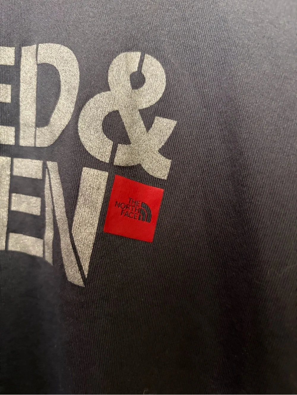 The North Face Men's Gray 'TESTED & PROVEN' Graphic Tee